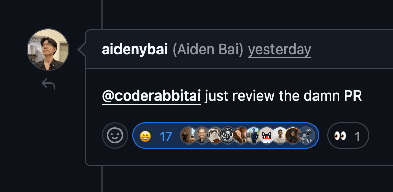 Aiden Bai: @coderabbitai just review the damn PR